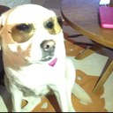 Kris Owens - @562KO - Twitter