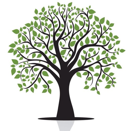 tvwlifecoach's profile picture. We help you move forward in life by assisting you with life and wellness imbalances. We help you progress work, life, and health.