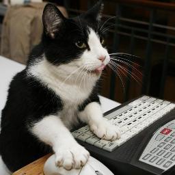 gilps666's profile picture. 🇧🇷♐📷🛠🖥🪖🎧🎮👾🖖☕⚛️:A:, Otaku e apaixonado por k and J-music. "A liberdade, se conquista!" "Si vis pacem, para bellum" "1 Timóteo 4:12" "João 8:32"