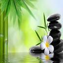 Safia Mohammed - @7_Safia - Twitter