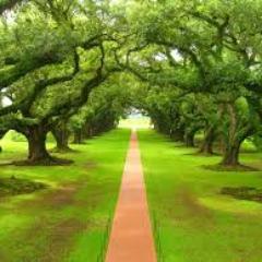 eleramon1's profile picture. 