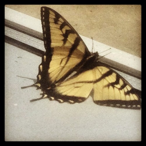 elbet23's profile picture. 