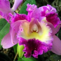 marilacruz1's profile picture. 