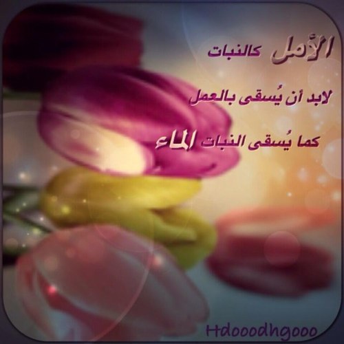 {توفني مسلمًا وألحقني بالصالحين} 🌹