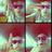 RobiMada95's profile image