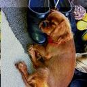 Inger Andersen - @IngerMra - Twitter