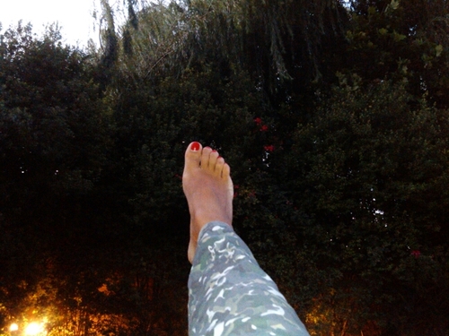 clcornejog's profile picture. 