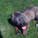 VANESSA CAÑAS GARCIA - @vanessa28121979 - Twitter