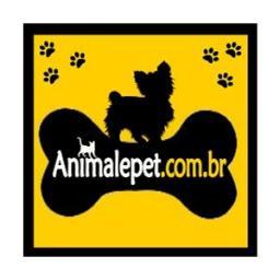 animalepetrj2's profile picture. 
