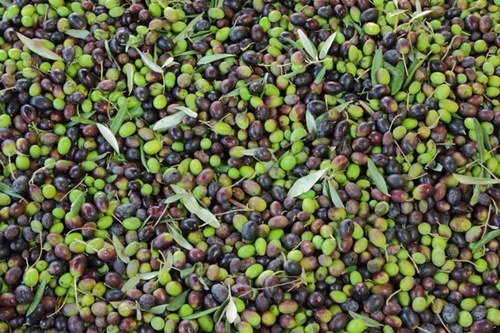 EatLoveSpain's profile picture. Crazy about Spanish food? Join us and learn to enjoy life and share the love of food like Spanish do! Tips, stories, recipes and carefully selected products.