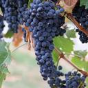 liz turner - @lizturn585859 - Twitter