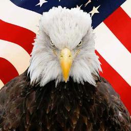 Christian, family, constitutional conservative,  limited gov advocate, USAF Vietnam Vet  AgentOrange RestoreAmerica BackPolice