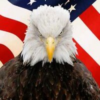 Joe McKinley (@bartmckinley) 's Twitter Profile Photo