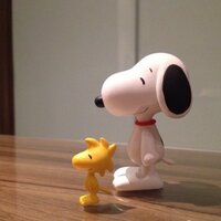 mkm (@mkmisp) 's Twitter Profile