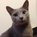 MOMOCO (@momoco68) Twitter profile photo MOMOCO (@momoco68) Twitter profile photo