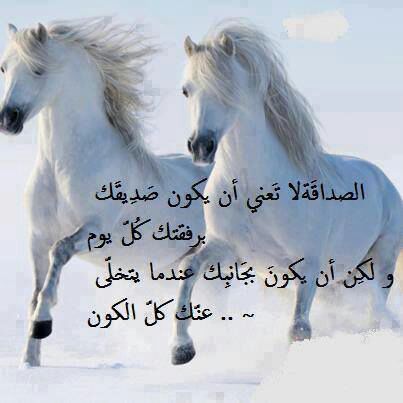 طالب جامعي