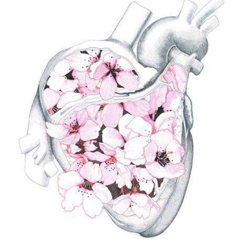 Choose me, Pick me, Love me :) . 빛나는 생명체
