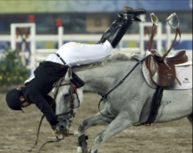 If you are a troubled equestrian then this is the place for you| follow | Canadian made