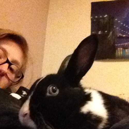 Aspiring conservationist, living in Scotland, baking and bunny enthusiast