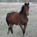 John Broughton - @John2tb2tb - Twitter