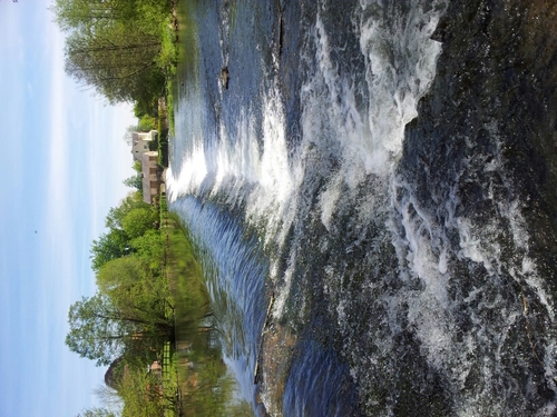 Millsey_AM's profile picture. 