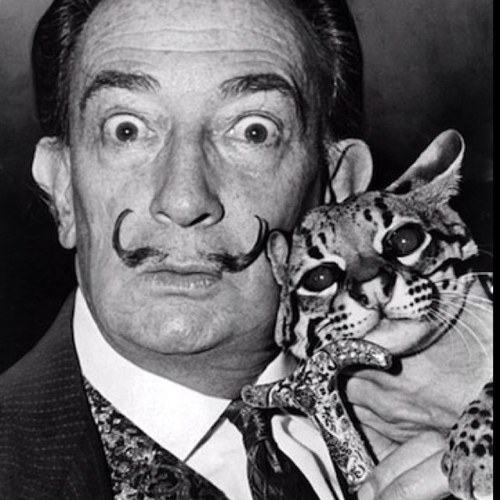 tcb0131's profile picture. 