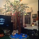 Kimberly Bolton - @01parrothead - Twitter