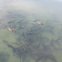 이의성 (@yataplover) 's Twitter Profile