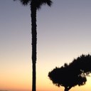 Amy Ramirez - @ADR92657 - Twitter