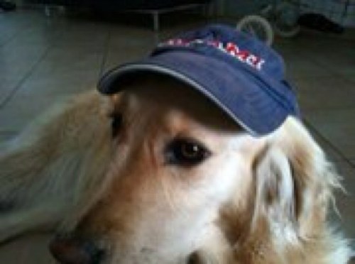 alexplaystation's profile picture. 