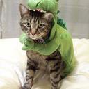 Amanda Cotter - @amcotter30 - Twitter