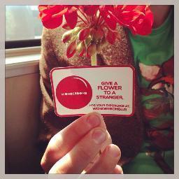 WondrBomb's profile picture. Making the world a playground of Connection and Magic.