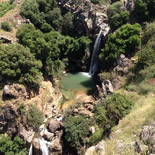 naftali32's profile picture. 