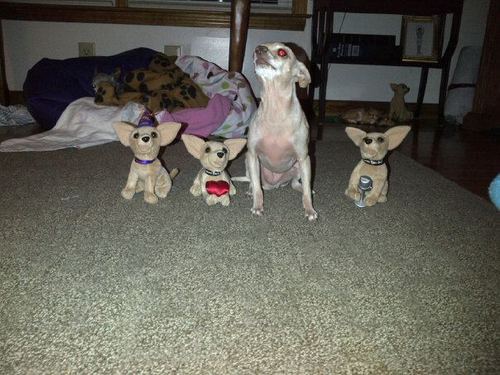 BattsTina's profile picture. 