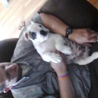 jason heppler (@heppler_jason) 's Twitter Profile