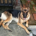 cclim - @CocoLee45 - Twitter