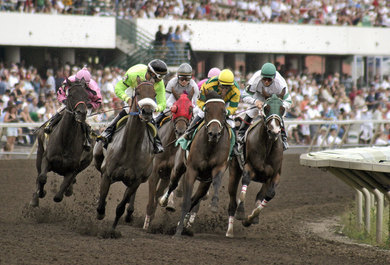 LSHstables's profile picture. Retired Dude