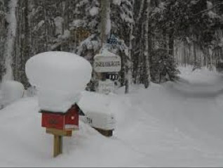 COLD_MAIL's profile picture. 