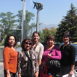 Pharmacist, Jefe Dpto.Farmacia HNERM 10 años, UNT; Ms Farmacología UPCH;Ms RRHH y MBA UPC. Trabaja en HNERM ESSALUD, IETSI-ESSALUD 2 años. CONAREQF 4 años.CEABE