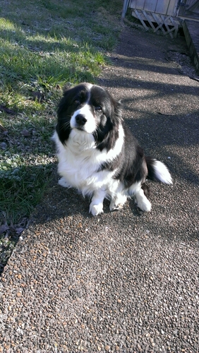 AlmostCNN's profile picture. no affiliations whatsoever with CNN.  Parody account.  Chill out.  #tcot