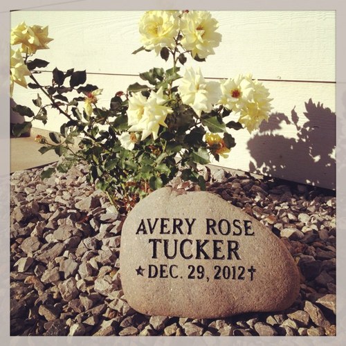 nrt1214's profile picture. Make each relationship you have important, Everyone has a story..............SC-nrt1214