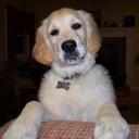 Kim Bartley Simmons - @kbsimmo - Twitter