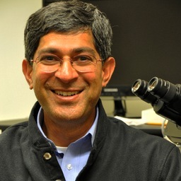 Professor of Molecular and Cell Biology and of Chemistry, University of California, Berkeley