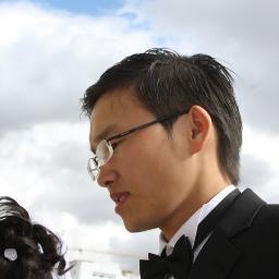 Web developer, IT Engineer.
