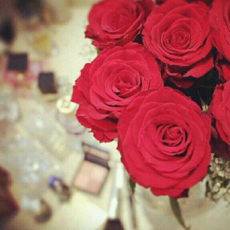 Z_alasheeri's profile picture. 