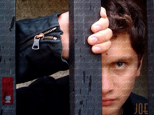 JoeMilla12's profile picture. 𝗨𝘀𝗲𝗿 𝗜𝗻𝘁𝗲𝗿𝗳𝗮𝗰𝗲 ✏️𝗗𝗲𝘀𝗶𝗴𝗻𝗲𝗿 & 𝗣𝗵𝗼𝘁𝗼𝗴𝗿𝗮𝗽𝗵𝘆📷 | Especializado en diseñar 𝗲𝘅𝗽𝗲𝗿𝗶𝗲𝗻𝗰𝗶𝗮𝘀 visuales, creativas e innovadoras.