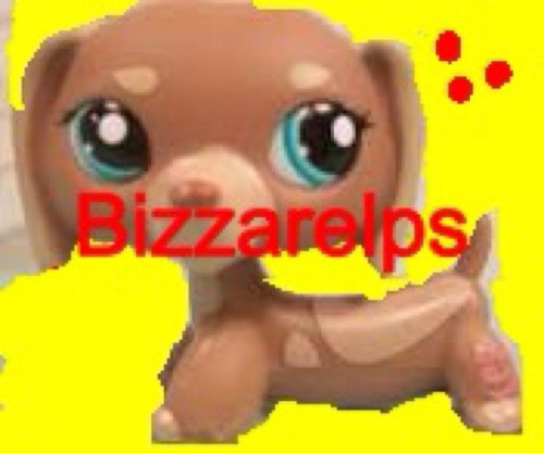 Hi! I'm Bizzarelps! I make lps and american doll videos on youtube. Please follow me! And maybe subscribe to me on youtube...
I also follow all my followers!
