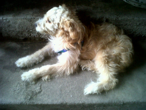 FricsonTomala's profile picture. 