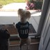 Sir Barkley (@fletcherbarkley) Twitter profile photo