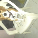 IDALIA JIMENEZ - @idaliajim - Twitter